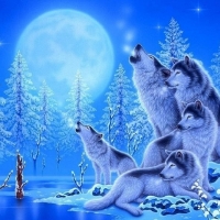 Winter Wolves Family