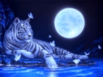 Moonlight White Tiger
