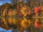 Autumn Lake