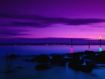 Purple Sunset