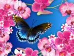Orchids & Butterfly