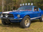 67 off road ford mustang