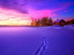 Winter Sunset