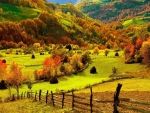 Green Landscape