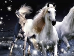 White Horses