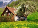 Cottage in the Swiss Alps
