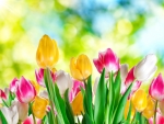 Spring background