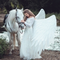 Angel and horse