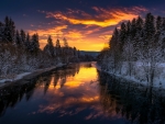 Winter Sunset