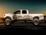 Custom Ford F250