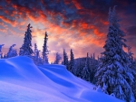 Sunset Over the Snowy Hillside