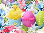 Easter Chick & Flowers