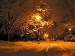 winter night