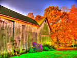 HDR Fall Scene