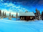 Winter House