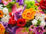 Colorful Bouquet of Spring Flowers