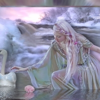 DANCE WITH THE SWANS