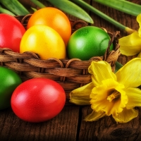 Easter Eggs & Daffodils