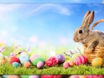 Easter Bunny