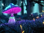 Magical mushroom