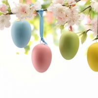 Blossoms & Easter Eggs