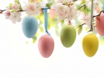 Blossoms & Easter Eggs