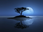 Lonely Tree with Full Moon