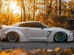 Liberty walk gtr