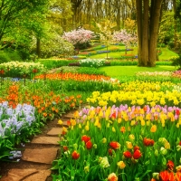 Springtime in Holland