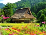 Shirakawa Village House,Japan