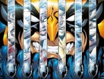 Wolverine