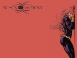 Black Widow