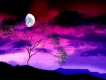 Lonely Tree in the Moonlight