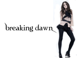 breaking dawn(bella)