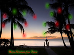 Christmas in Hawaii