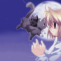 Cat & Tsukihime