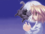 Cat & Tsukihime