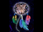 Dreamcatcher