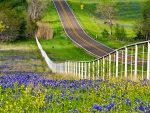 Beautiful scenery in Texas