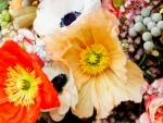 Poppies bouquet