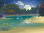 Dolphin Moonlight