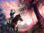 Link - breath of the wild