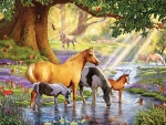 Horses by the Stream
