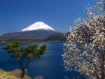 Mount Fuji in Spring