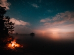 Bonfire Starry Night