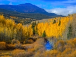 Aspen Fall