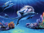 Dolphin Fantasy