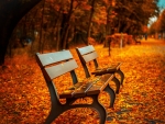 Lovely Autumn Bench