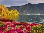 Lake Lugano,Switzerland