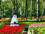 Most Beautiful Flower Garden,Holland